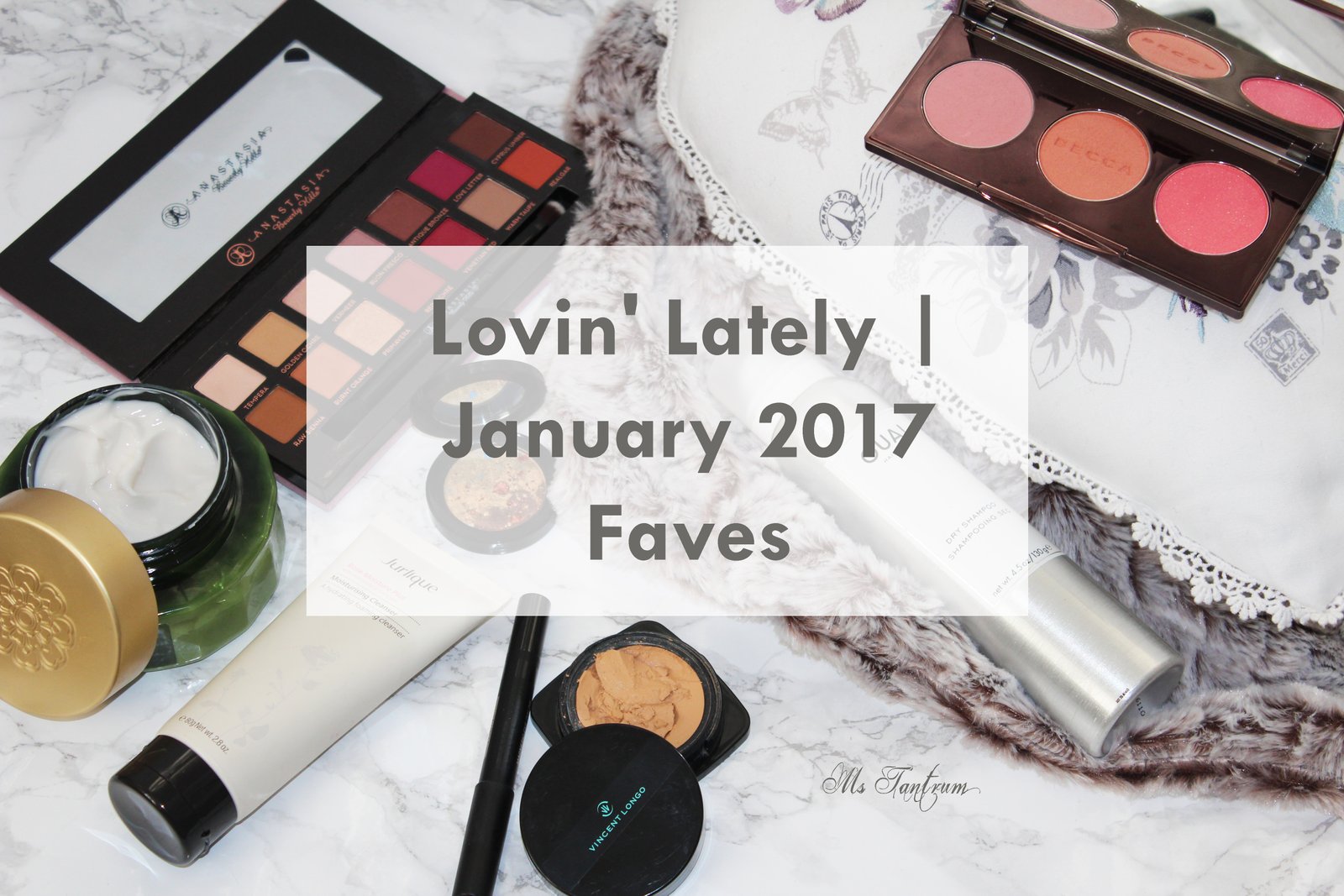 Jan Faves