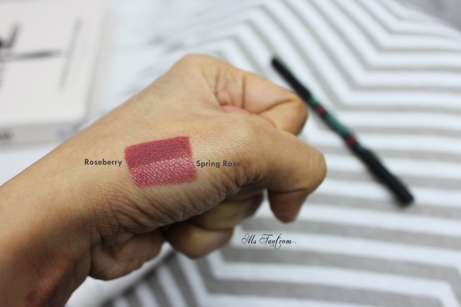 Vincent Longo Duo lip liner