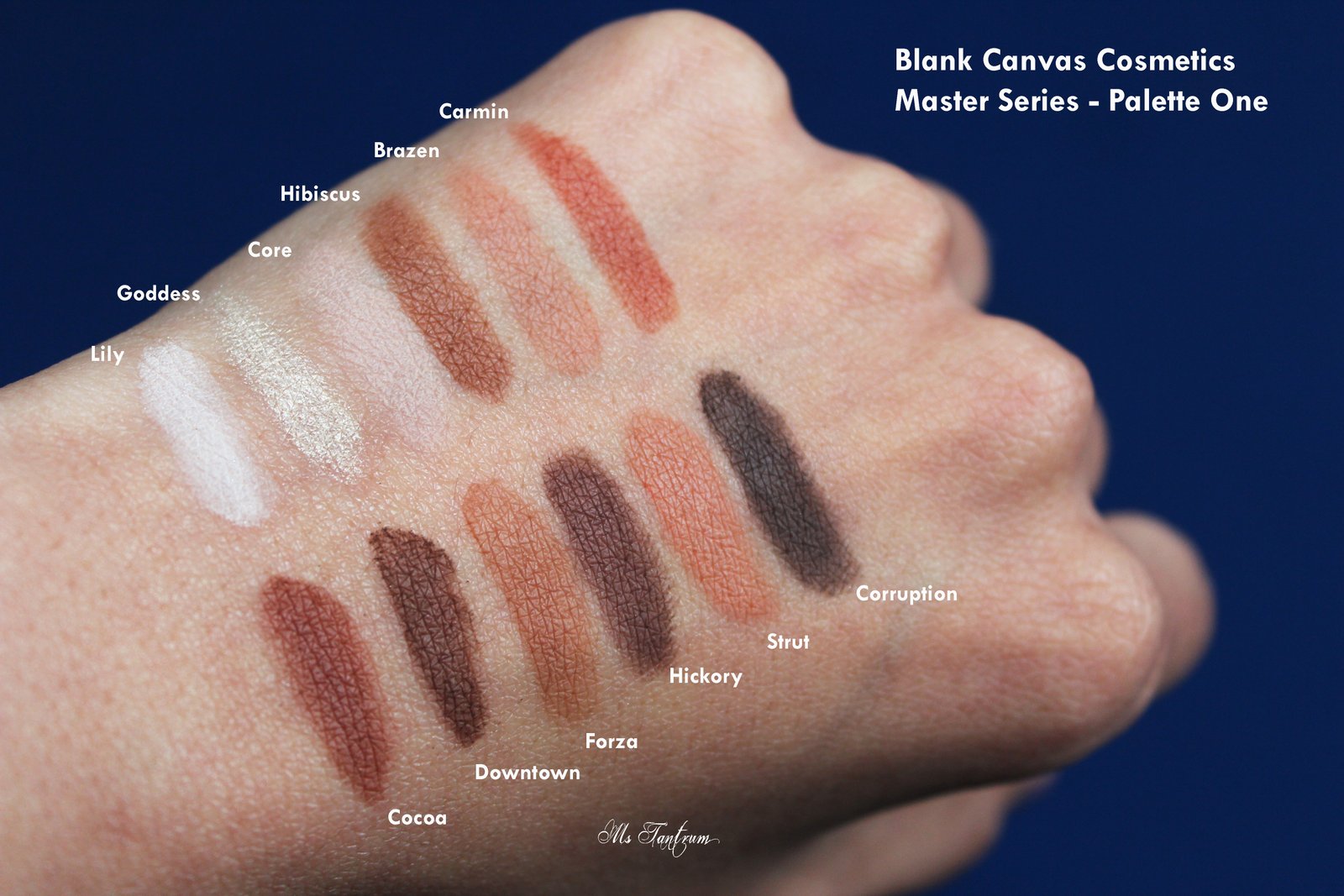 Master Series Palette One Swatches on Medium Skin