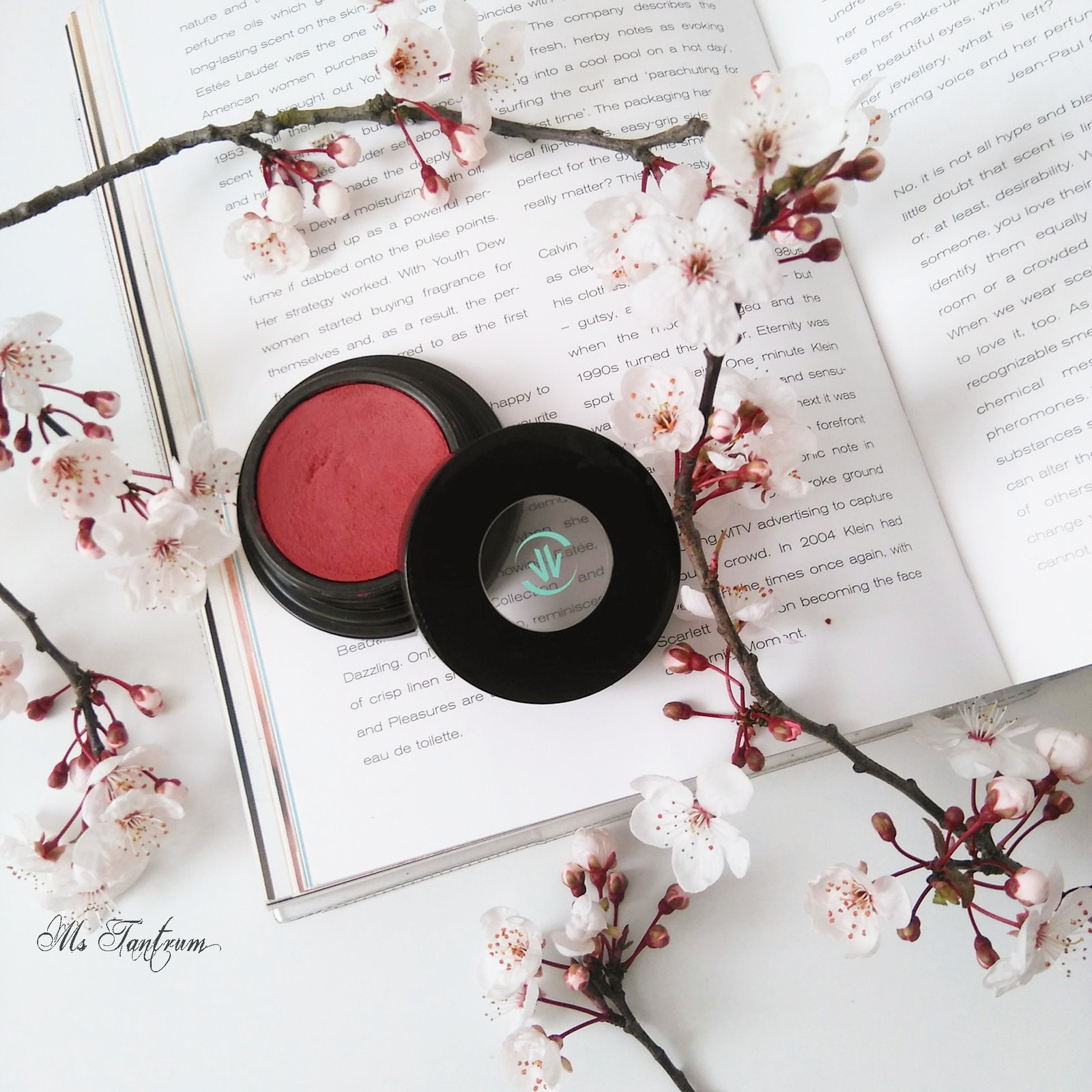 Vincent longo blush