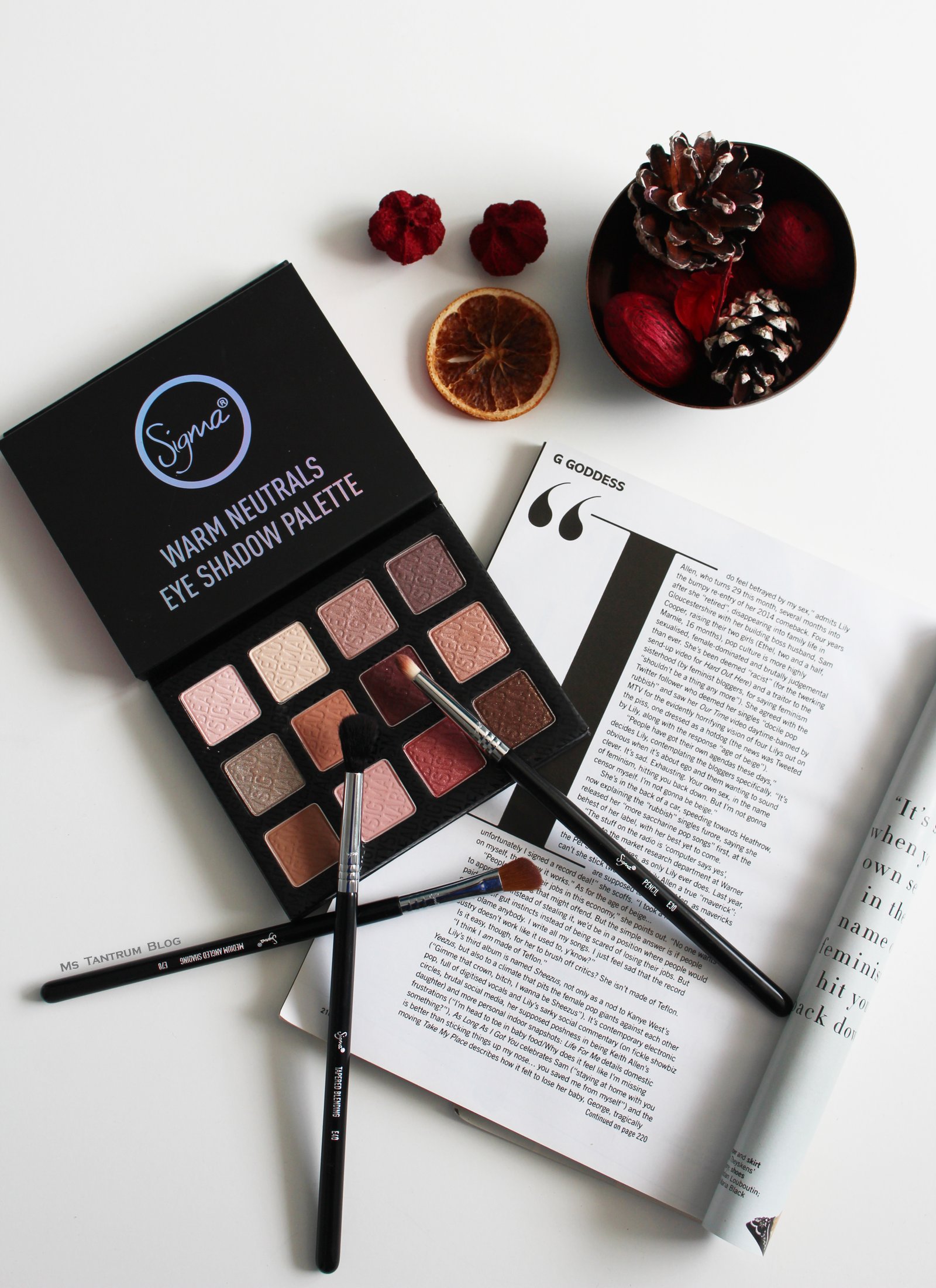 Sigma Warm Neutrals Eyeshadow palette