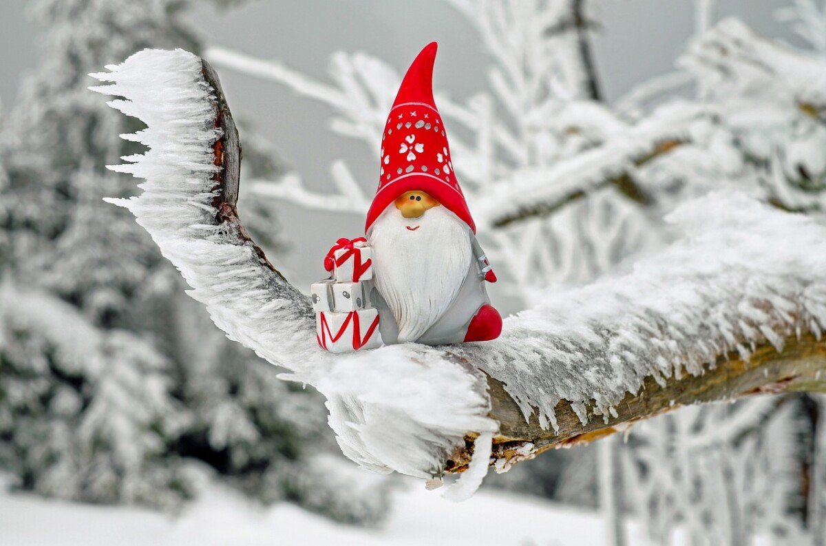 Image by Ilo from Pixabay